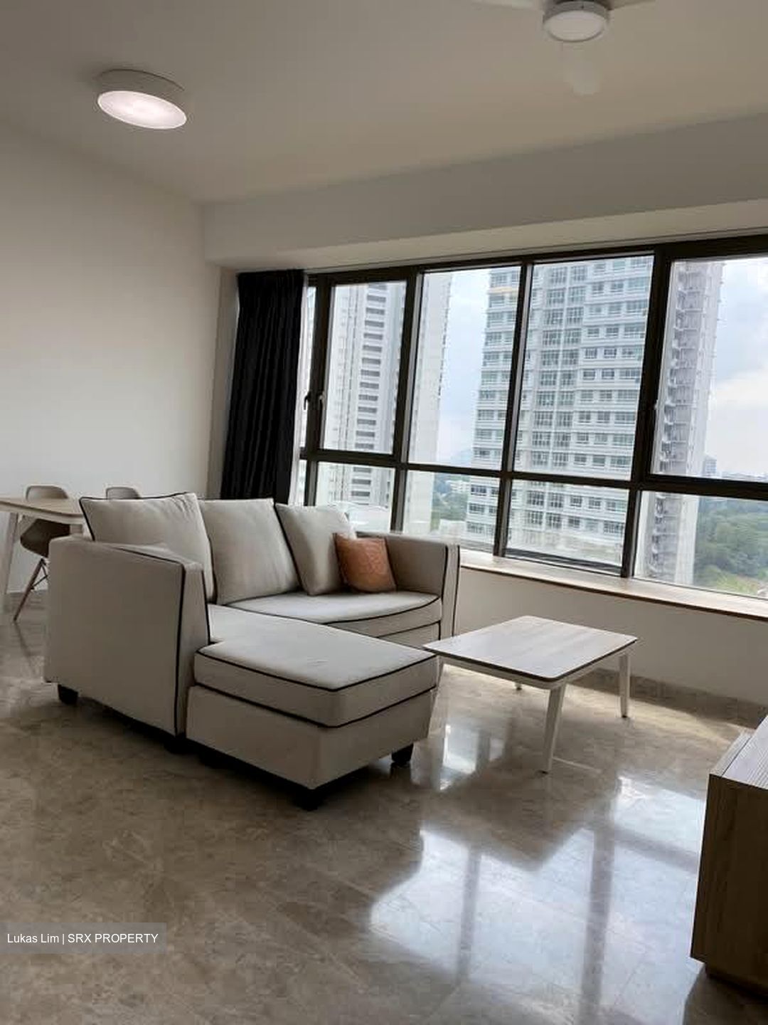 Skyline Residences (D4), Condominium #566219641
